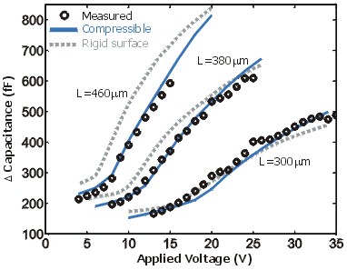 CV measured and simulated